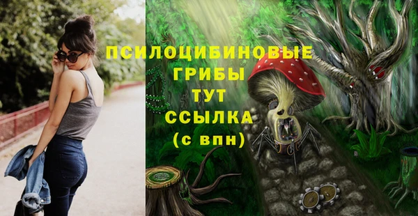 СК Алзамай