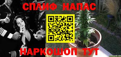 mdma Гусев