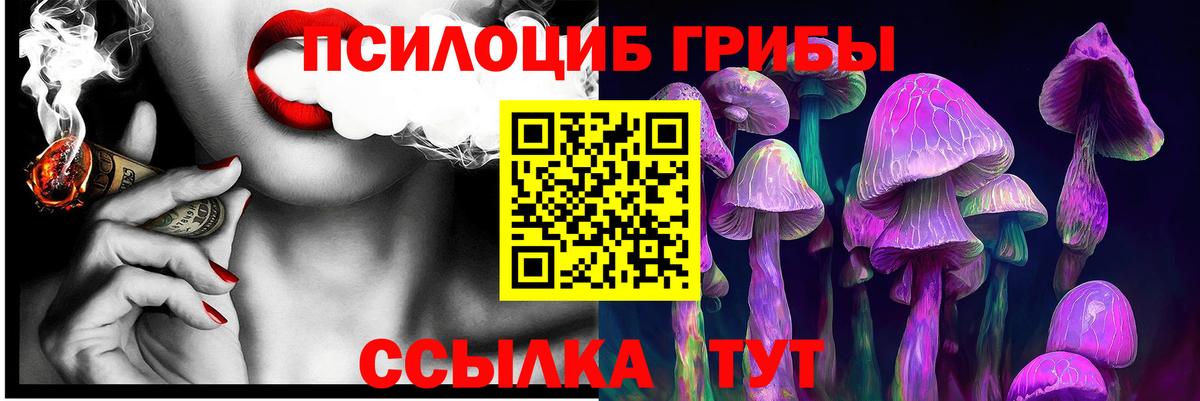 Псилоцибиновые грибы Cubensis  Вход с VPN  Лесной  Галлюциногенные грибы Psilocybe 